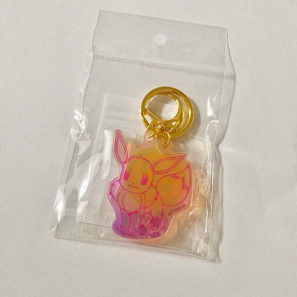 ポケモン イーブイ namco限定 ナムコ ポケモンくじ アクリルキーホルダー 2連キーホルダー