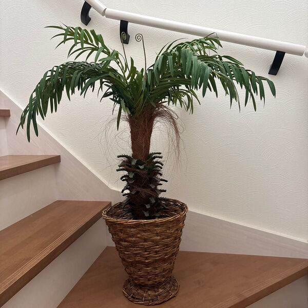 フェイクグリーン ヤシの木?ソテツ?フェニックス? 観葉植物 南国