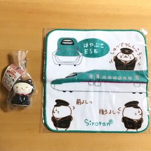 ★ 未開封 しろたん福招きおみくじ・しろたんJRコラボミニタオル