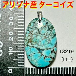 天然石 アリゾナ産 ターコイズ ペンダントトップ(LLL)