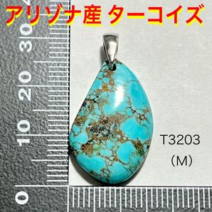 天然石 アリゾナ産 ターコイズ ペンダントトップ(M) ②