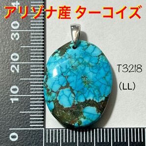 天然石 アリゾナ産 ターコイズ ペンダントトップ(LL) ②