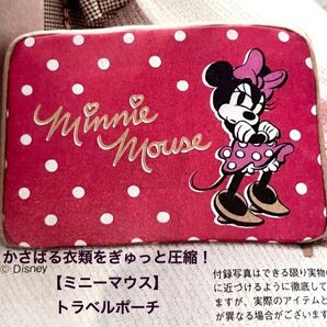 新品未使用 便利すぎるミニーマウス Disney・トラベルポーチ 小物 1点SET