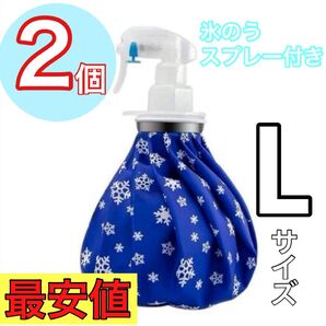 氷のう 2個セット アイスバッグ 熱中症対策 急冷用 他サイズあり