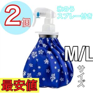 スプレーボトル スプレー付き 氷のう 2個セット アイスバッグ 熱中症対策 急冷用 他サイズあり