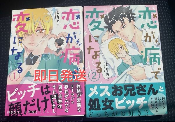 BL BLコミック BL漫画 恋が病で変になる 1巻 2巻 とりのこ