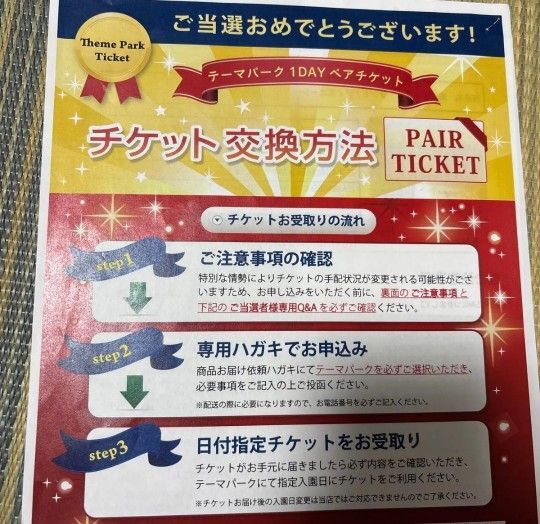 ディズニーランド ペアパスポートチケット