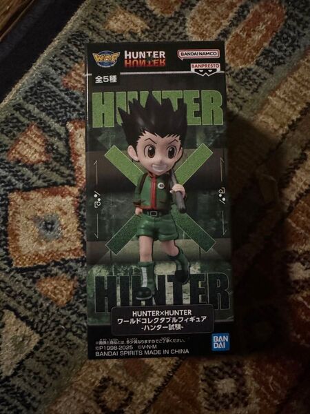 HUNTER×HUNTER ワールドコレクタブルフィギュア-ハンター試験-