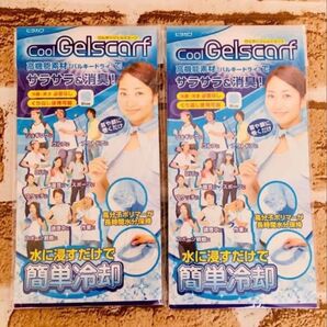 【送料無料!】ひんやりジェルスカーフ 2枚セット!新品 高機能素材(バルキードライ!)サラサラ 消臭!簡単冷却!安心の匿名配送♪
