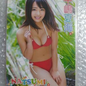 平嶋夏海 NATSUMI DVD