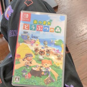 あつまれどうぶつの森 Nintendo Switch スイッチソフト