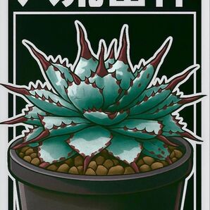 八荒雷神 多肉植物 イラスト