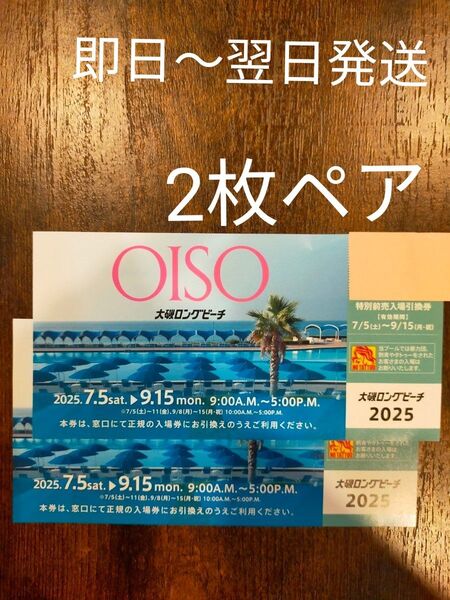 大磯ロングビーチ 入場引換券 2枚セット
