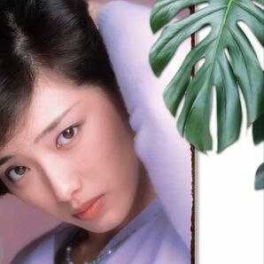 山口百恵