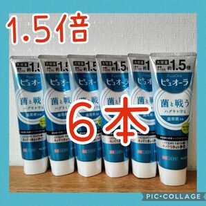 花王 ピュオーラ ハミガキ マイルドハーブ 大容量 170g×6個