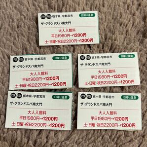 ザグランドスパ 南大門 大人入館料1200円券 5枚セット