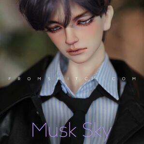 SWITCH ウィッグ Clover Cut Mサイズ Musk Sky