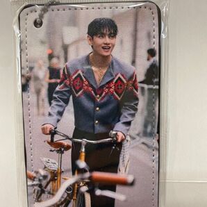 BTS V パスケース