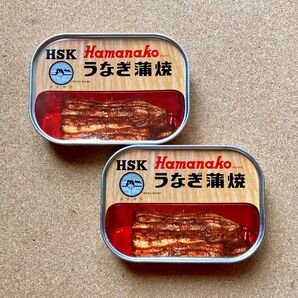 土用の丑の日、キャンプや非常食にも是非! Hamanako 浜名湖 うなぎ蒲焼 缶詰 2缶セット