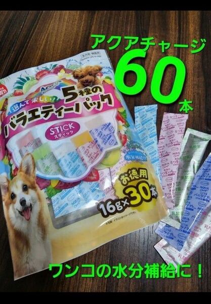 マルカン アクアチャージ スティック 5種類合計60本 犬用水分補給 ゴン太ファミリー 犬用 おやつ