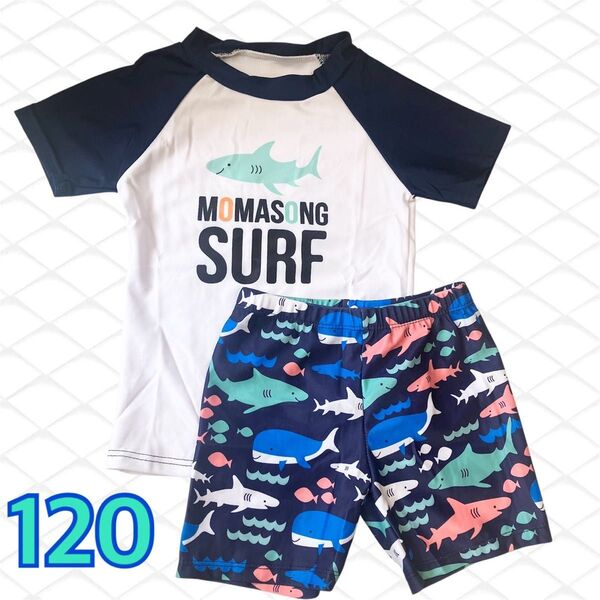 キッズ水着 男の子 ラッシュガード 半袖 サメ柄 プール 海 水遊び 魚 120