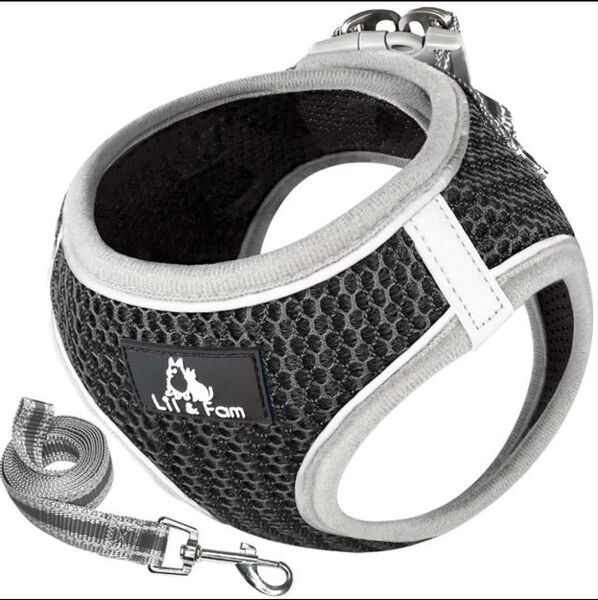 【720円】犬 ハーネス おしゃれ 簡単装着 リードセット 小型犬 中型犬 猫 犬用 胴輪 Lil&Fam リルアンドファム