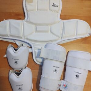 空手防具Mサイズセット 胴プロ インステップ シンガード