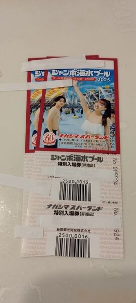 長島ジャンボ海水プール入場券 大人2枚セット ナガシマスパーランド