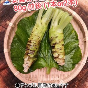 80g前後 信州 安曇野 本わさび 生ワサビ あづみ野 山葵 WASABI 沢わさび