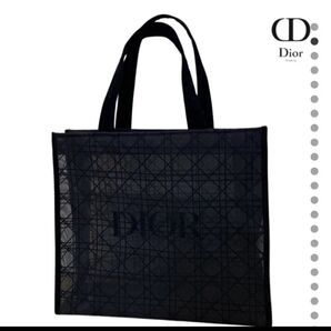 DIOR メッシュ バッグ ディオール ノベルティ