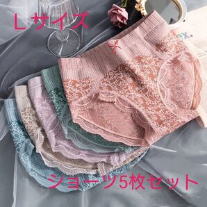 ショーツ 5枚セット Lサイズ 深履き レース レディース 肌着 下着 【868】