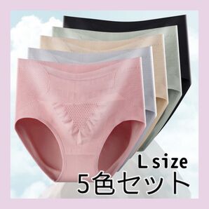 レディース シームレス ショーツ 5枚セット Lサイズ ハイウエスト 温活 妊活 通気性 伸縮 抗菌 消臭 下着【870】