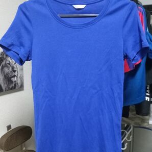 ユニクロ 無地Tシャツ ブルー エクストラファインコットン