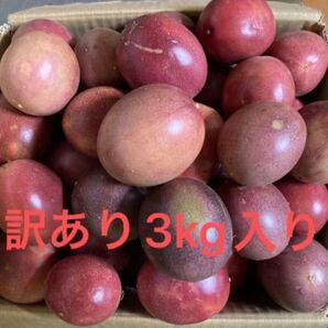 訳あり種子島産パッションフルーツ3kg入り