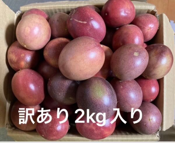 訳あり種子島産パッションフルーツ2kg入り