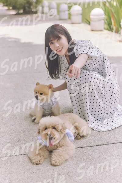 乃木坂46 岩本蓮加 写真集 星野書店限定特典 特典ポスター B3サイズ 折り目なし
