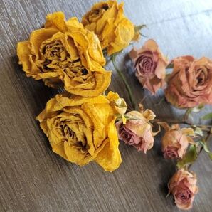 ドライフラワー 花材 バラ