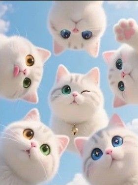 新品ダイヤモンドアート20×30ねこさん 6匹の子猫 シロネコ 作成キット【no.566】