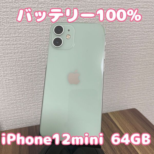 【バッテリー100%】【即日発送!】iPhone12mini 64GB