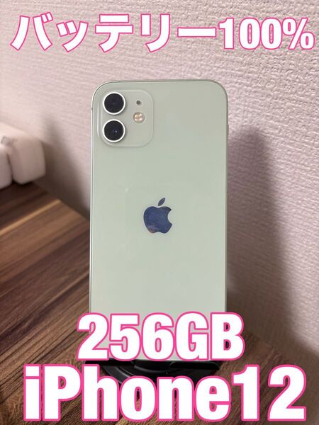 【バッテリー100%】 iPhone12 256GB グリーン