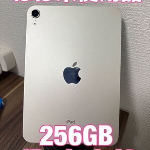 【ほぼ新品、即日発送!】 iPad mini6 256GB グレー