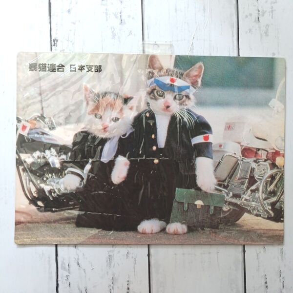 当時物なめ猫下敷き昭和レトロなめねこ