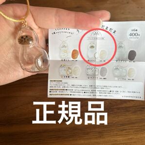新品未使用 うちの子のけだまだま 正規品シャム