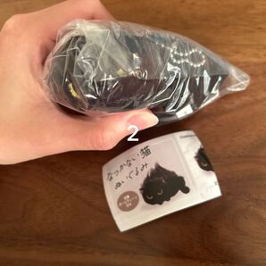 新品未開封 ガチャ なつかない猫ブラック