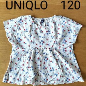 ★美品★UNIQLO ユニクロ×StudioSandarson 半袖ブラウス 半袖トップス 花柄 120 女の子
