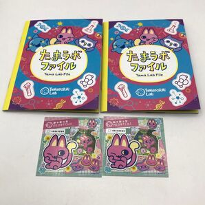 非売品 たまごっちパラダイス 早期購売特典 たまラボファイル みゃおっち ステッカー 2組