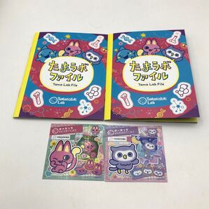 非売品 たまごっちパラダイス 早期購売特典 たまラボファイル みゃおっち ほーほっち ステッカー 2組