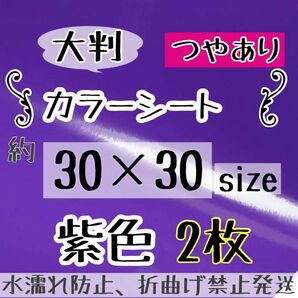 大判 高品質 艶ありカッティングシート 紫 パープル 2枚 シールタイプ
