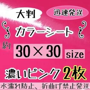 大判 ピンク 濃いピンク カッティングシート 2枚 うちわ文字 規定外