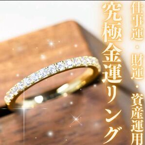 究極金運リング 金運アップ 商売繁盛 宝くじ高額当選 仕事運 財運 資産運用 覚醒 昇給 昇進 ギャンブル運 くじ運 ロト 波動